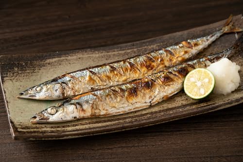 ykC ԑYzⓀ kCY T} 5 pbN ۂ Ă  H Ă ØI Ε 蕨 ԗi Mtg l