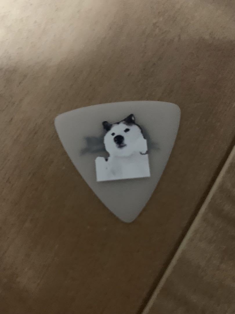 Hunp back ピック Amazon.co.jp: Hump Back 林萌々子使用 ピック : ホーム＆キッチン