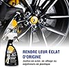 Découvrez la concession Renault sur Fâches-Thumesnil ProTechMC | Kit Nettoyant Voiture Interieur et Extérieur | Nettoyant Multi-Surfaces | Shampoing Carrosserie | Nettoyant Jantes | 3x500 ML | Inclut Microfibre 40x40 cm | Made in France #5