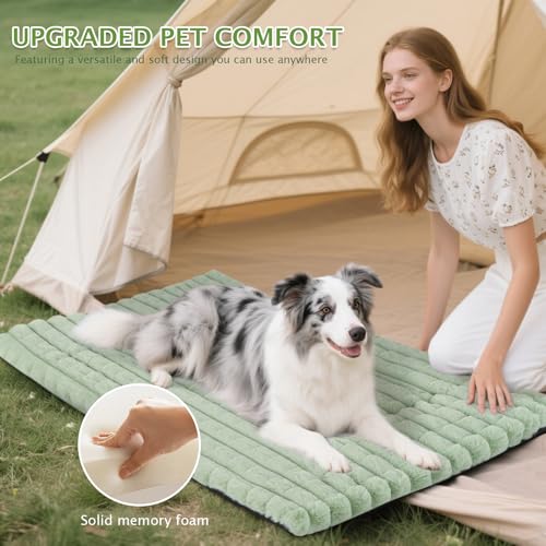 BVAGSS Flauschiges Orthopädisches Hundebett, Waschbar Hundematte, rutschfeste Unterseite, Plüsch Hundekissen Weiche und Warme Hundematte für klein mittel große Hunde XH082 (60x45cm,Grün)