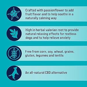 Stewart Freeze Dried Canine Treats Zen Beef  Pumpkin Anxiousness Aid Grain Free 4 Ounce Resealable Pouch Made in Usa  Cucciolini Doodles Stewart freeze dried canine treats zen beef  pumpkin anxiousness aid grain free 4 ounce resealable pouch made in usa   cucciolini doodles