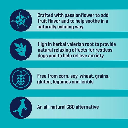 Stewart Freeze Dried Canine Treats Zen Beef  Pumpkin Anxiousness Aid Grain Free 4 Ounce Resealable Pouch Made in Usa  Cucciolini Doodles Stewart freeze dried canine treats zen beef  pumpkin anxiousness aid grain free 4 ounce resealable pouch made in usa   cucciolini doodles