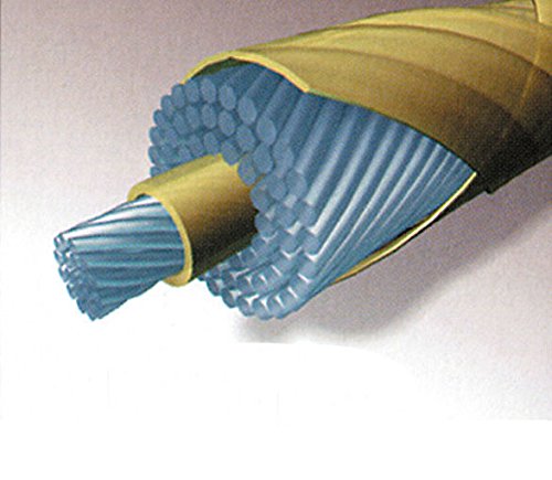 Amazon | ISOSPEED(イソスピード) Energetic130ロール(イソスピード