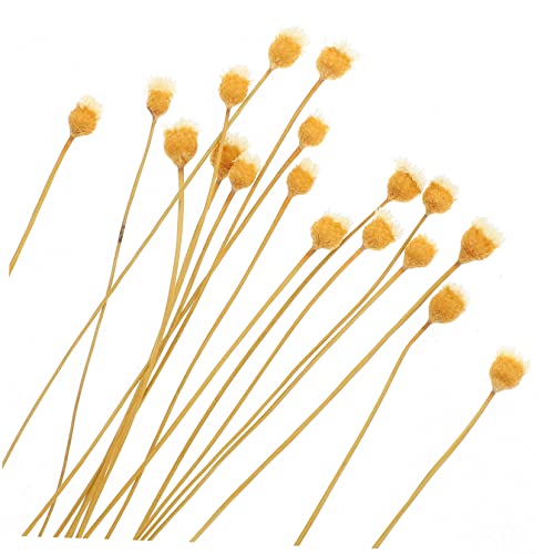 Varillas difusoras de aroma con flores decorativas 20 pcs miniatura 5