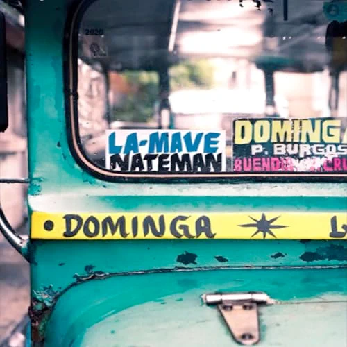 Dominga Album Cover