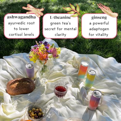 Moment Mocktails Non Alcoholic Drinks (Shark Tank) | SPARKLING Mocktails Adaptogen Drink | L-Theanine & Ashwagandha for Calm & Clarity | 0 Added Sugar 0 Caffeine | 12-pack - Thumbnail 3