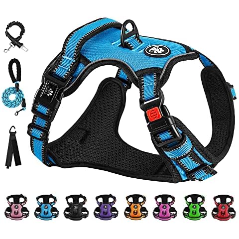 NESTROAD Hundegeschirr Kleine Hunde, Anti Zug Geschirr Hund Atmungsaktiv Reflexstreifen Brustgeschirr, Verstellbar Welpengeschirr Geschirrset Hunde Geschirr, Weich Gepolstert Vest Harness Blau S Cover