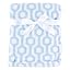 Blue Hexagon