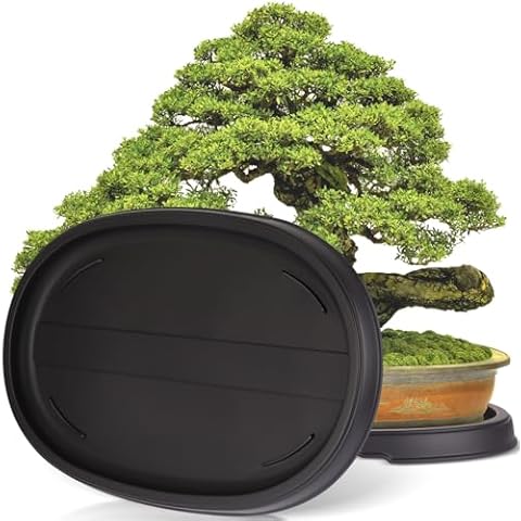 Pinkunn Bonsai Humidity Tray (2 Pack) Cover