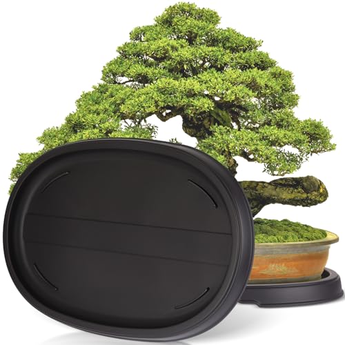Pinkunn 2 Pack Bonsai Humidity Tray Drip Tray Plastic Plant Water Catcher Plant Saucers for Indoors...