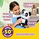 Little Live Pets My Baby Panda ChuChu | Interaktives Haustier mit über 50 Geräuschen & Reaktionen. Strampelt, geht aufs Töpfchen, lacht & mehr. Immer Wieder Spielen. Geschenk für Kinder