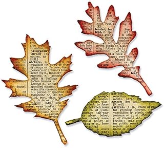 Sizzix Bigz Tattered Leaves, 3 Sizes and Shapes Steel Rule Die by Tim Holtz