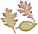 Sizzix 656927 Bigz Die - Tattered Leaves by Tim Holtz