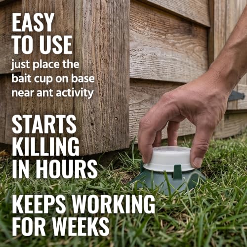TERRO T1804-6 Outdoor Ready-to-Use Liquid Ant Bait Killer and Trap - Kills Common Household Ants - 4 Bait Stations - image 3