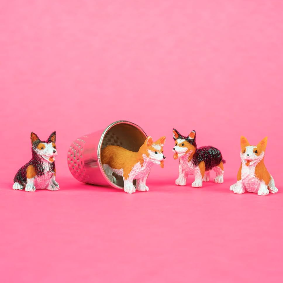 Amazon.com: Accoutrements Archie McPhee Miniature Marvels: Itty