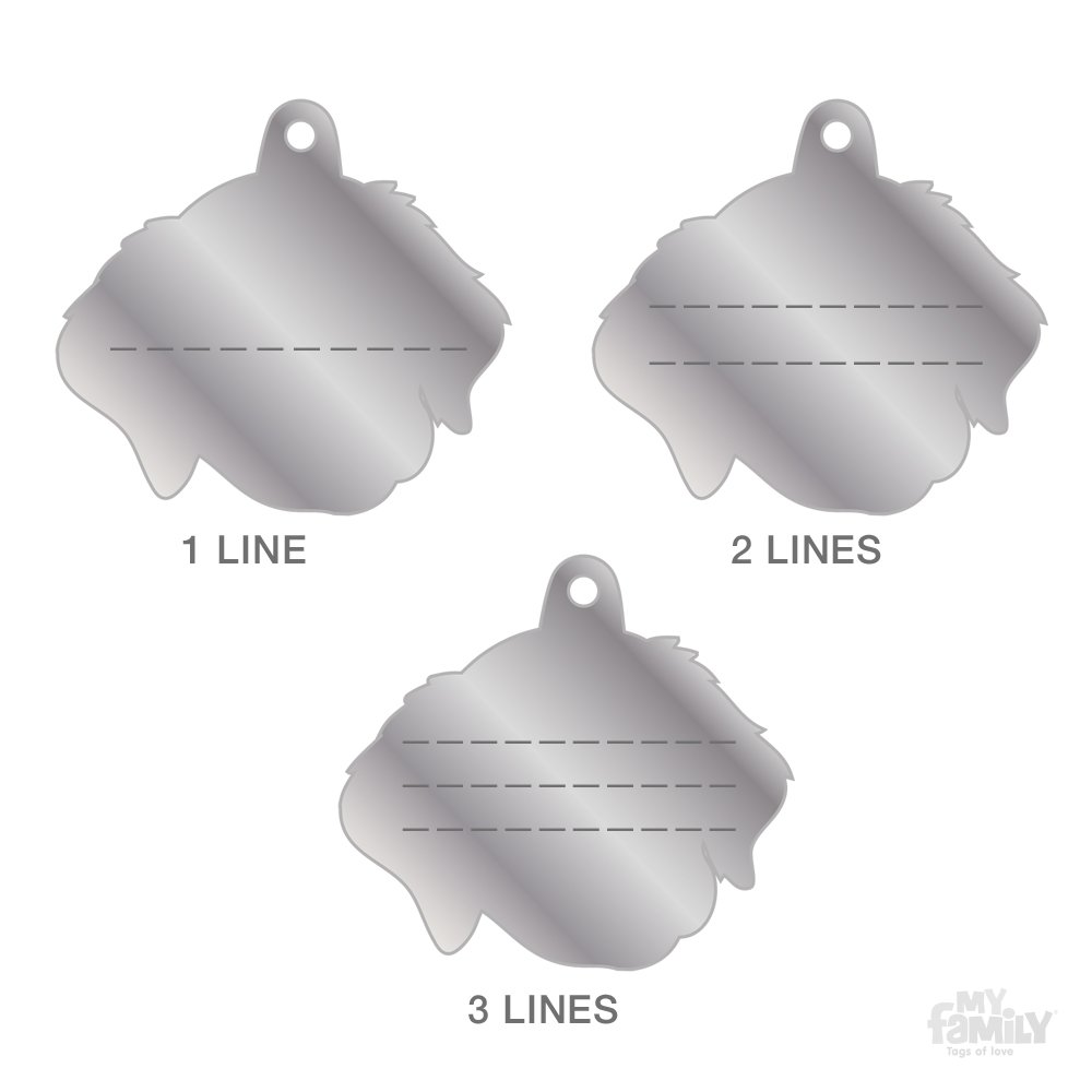 Medaglietta Cane Personalizzata Medaglietta Per Cane Golden Retriever MyFamily - Personalizzata, Made In Italy, 33x30 Mm Targhetta Cane Personalizzata