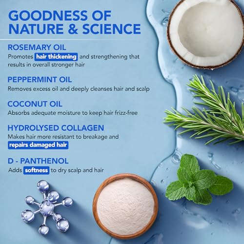 Image of Botanic Hearth Rosemary Mint Shampoo with Peppermint Oil, Jojoba Oil & Collagen | Thickens & Strengthens Hair | Helps Reduce Hairfall | Shampoo for Women and Men | Sulphate & Paraben Free, 200ml