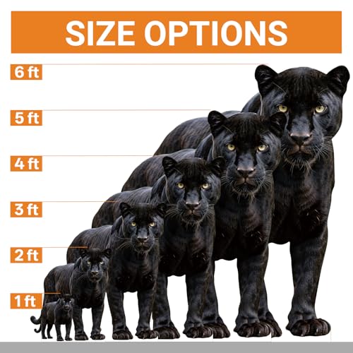 Image of Black Panther 2FT Life Size Cardboard Cutout, Fun Animal Standup | Cardboard Cutout for Events, Party Decor, Birthday, Photos, Home Decor, Kids Room, Gift, Special Occasion, 1 PC
