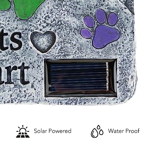 iHeartDogs-Rainbow-Bridge-You-Left-Paw-Prints-On-My-Heart--Dog-Inspirational-Dog-Memorial-Solar-Garden-Stone - Cucciolini Doodles   iHeartDogs-Rainbow-Bridge-You-Left-Paw-Prints-On-My-Heart--Dog-Inspirational-Dog-Memorial-Solar-Garden-Stone