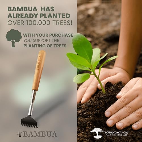 BAMBUA Back Scratcher - (Including 5 Attachments) Bamboo Handle - Extendable Back Scratcher for Men and Women - Effortlessly Reach Every Spot - Premium Stainless Steel Backscratcher - Perfect Gifts - 6