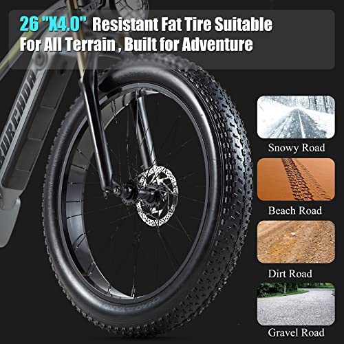 Damson Electric Bike 1000W 48V 20Ah Removable Battery Long Range Mountain Electric Bicycle Up To 30Mph All Terrain Fat Tire Electric Bicycles With Full Suspension & Dual Hydraulic Disc Brake #TOP6