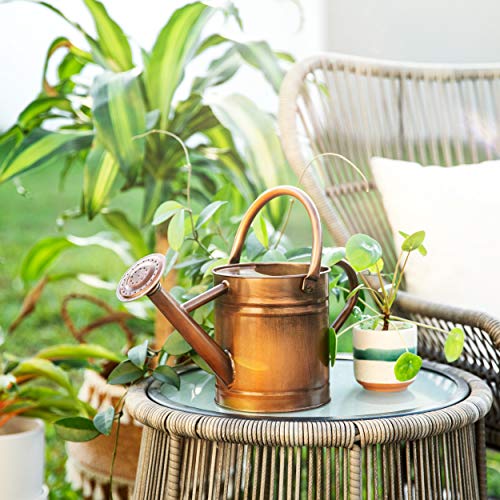 Homarden Half Gallon Copper Colored Metal Indoor Outdoor Plant Watering Can for House Plants with Removable Spout, 80oz