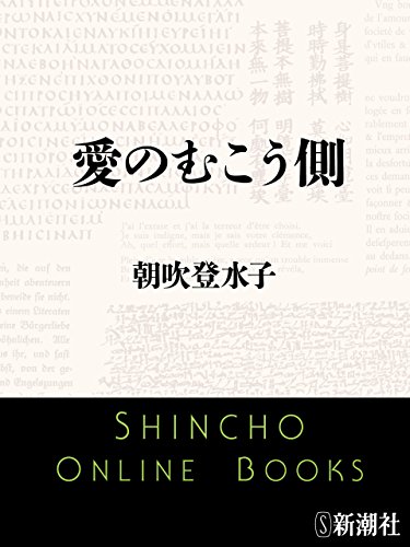 愛のむこう側(新潮文庫) 愛のむこう側(新潮文庫)