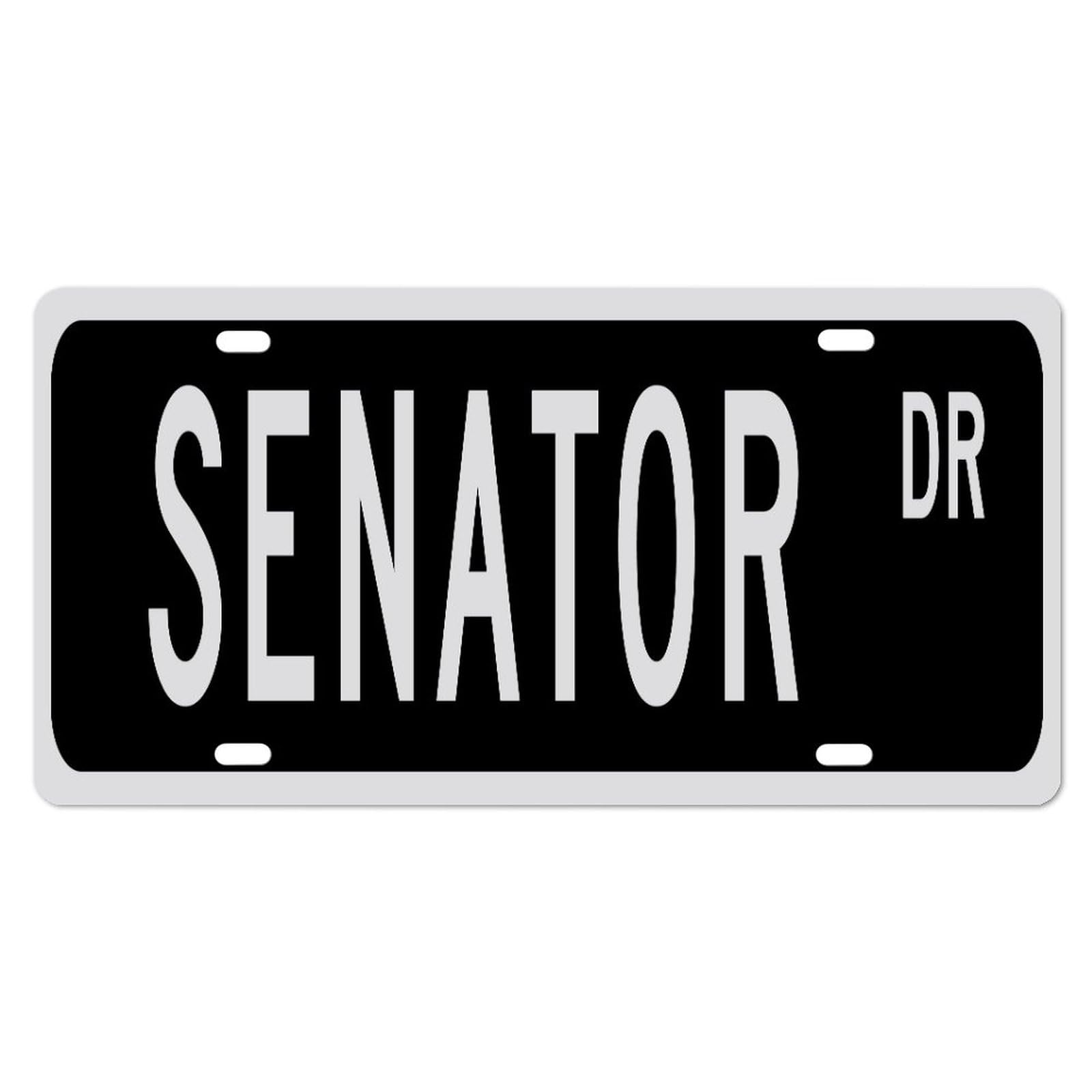 Senator License Plate Gift for Senator Home Car License Plate Frame Metal Front License Plate Car Tags Novelty License Plate Cover Rustproof Weatherproof 6X12 Inch