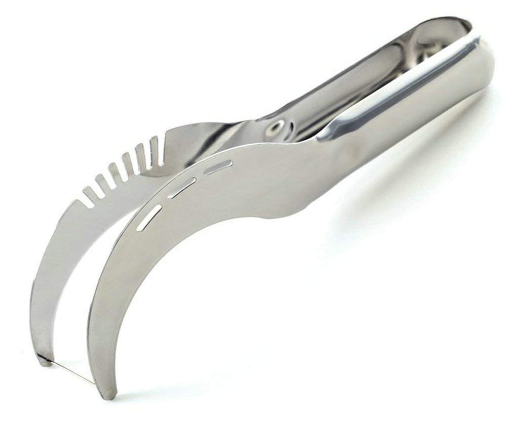WeTest Stainless Steel Watermelon Slicer,Silver (XGD-1)