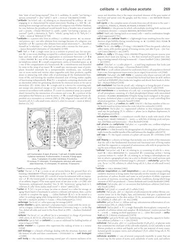 Image of Merriam-Webster's Collegiate Dictionary: Twelfth Edition
