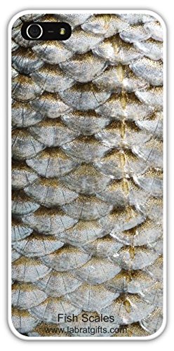 Amazon.com: Lab Rat Gifts IP5014CASE Plastic Life Science Collection ...