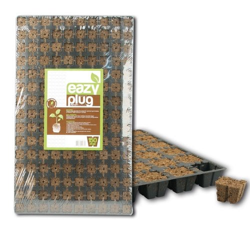 Eazy Plug Stecklingsblöcke Tray mit 150 Stück