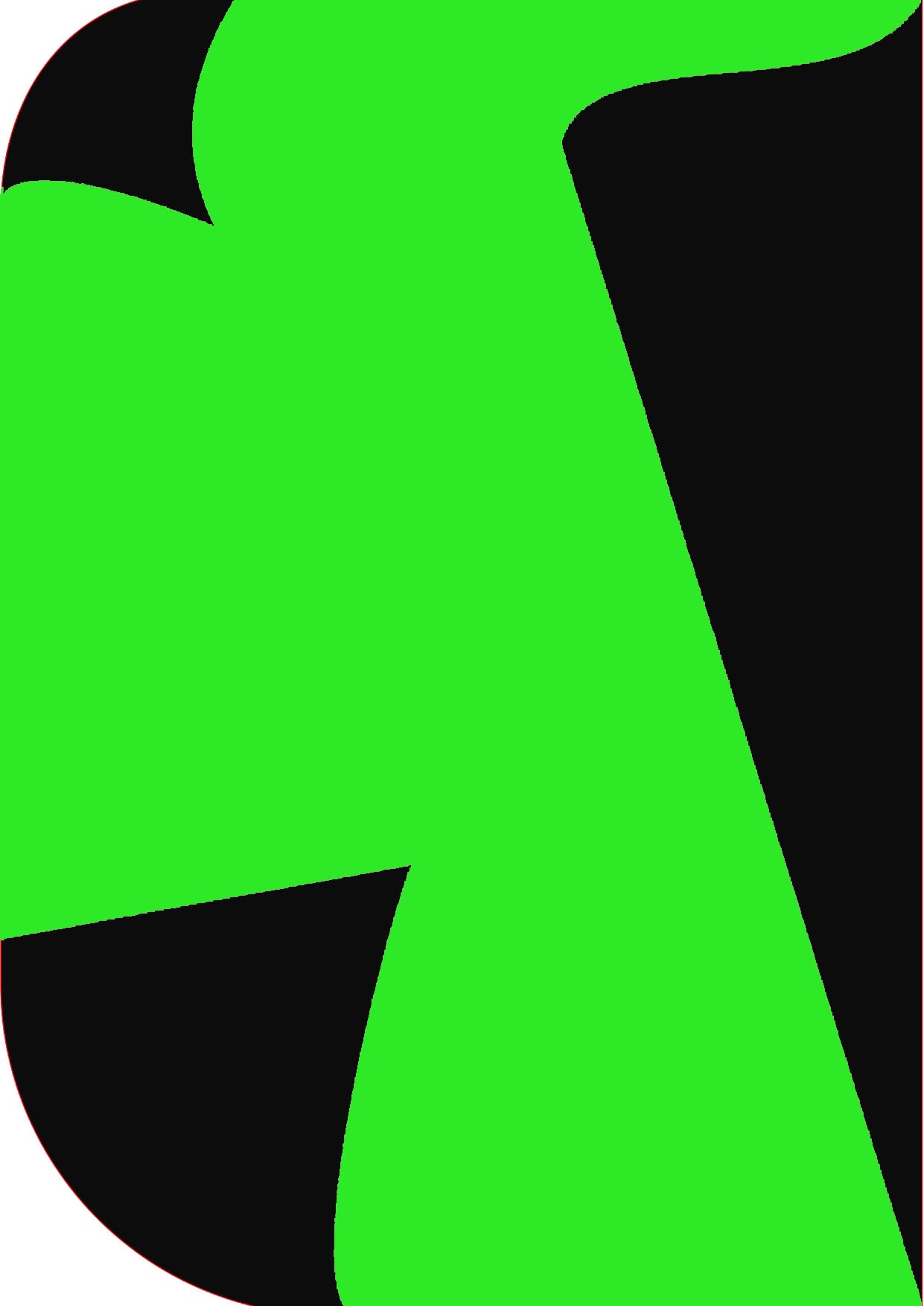 Cam Cart 8X 12ft ,2 in 1 Colors Single Photography Backdrop (Black & Parrot Green 2 in 1 )