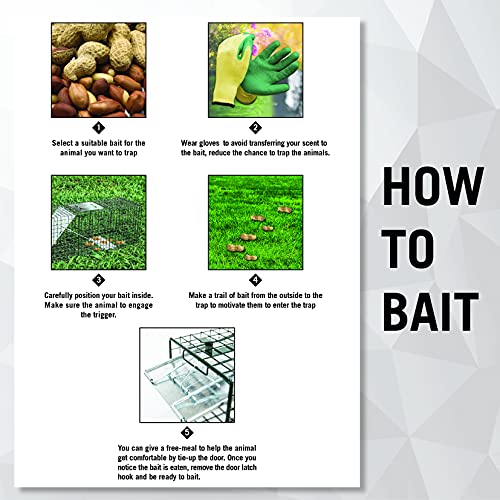 HOMESTEAD 32 Inch Live Animal Trap - Image 6