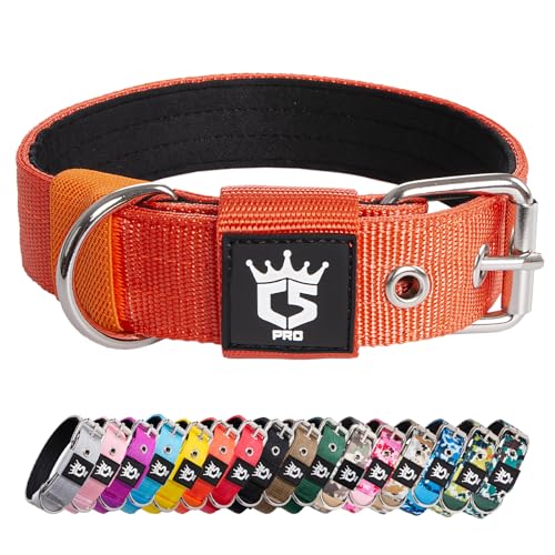 TSPRO Taktisches Hundehalsband, Robustes Halsband für Hunde mit Metallschnallenverschluss, 3,3 cm Breit, Verstellbar und Dick für Kleine Hunde (Orange S)