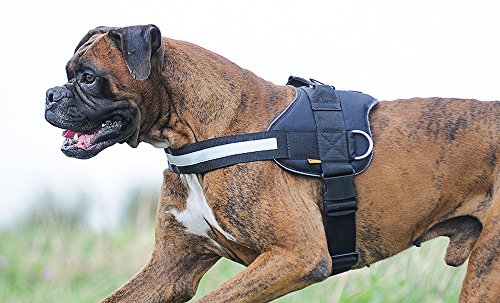 Dingo Dog Harness Handmade Reflective STRONG Modern Sport Type Red 13485 - Image 3