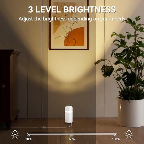 Image of 2 Pack Uplights Indoor Floor Can Lights, RGBW Spotlight Indoor with Foot Switch for Living Room Corner Sofa House Plant Wall Artwork Decor