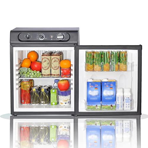 Mini Réfrigérateur Refroidisseur Plus Chaud 12 Litres Réfrigérateur