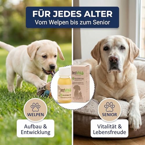 Bio Colostrum Fluid für Hund & Katze [60ml] - Flüssiger Immunbooster stärkt Immunsystem & Vitalität - Ideal für Magen, Darm & bei Allergie - Welpen & Senior - Deutsche Bio-Qualität