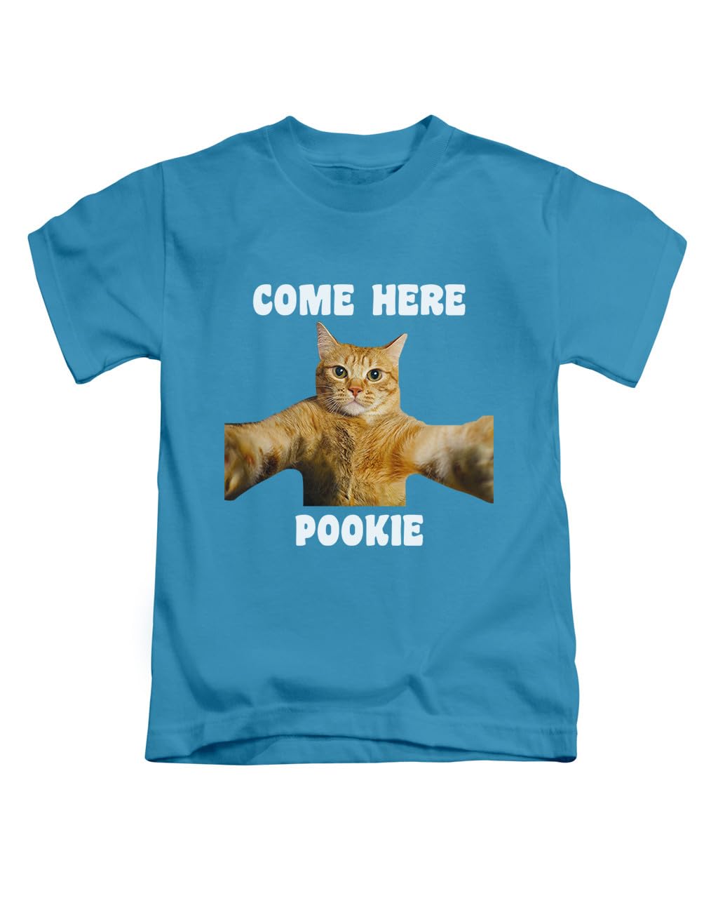 Taylor Brown Unisex Sapphire Come Here Pookie, Cat Cats Memes Kitten, Relationship Jokes Tee T-Shirt Funny T Shirt Top