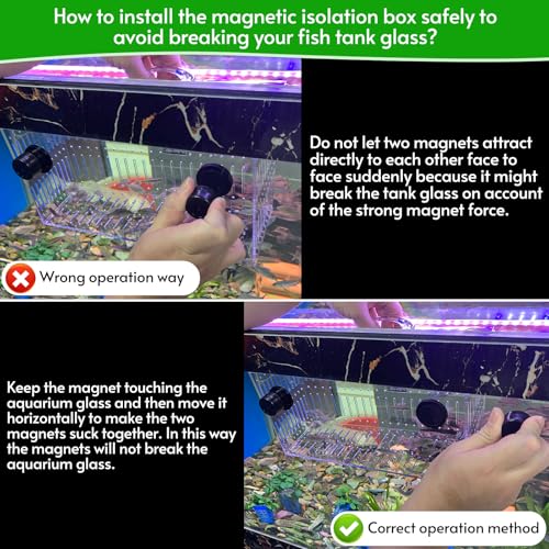 Magnet Acclimation Box for Saltwater Fish Quarantine Aquarium Isolation Box for Aquarium Fish Anemone Reef Coral - Thumbnail 6