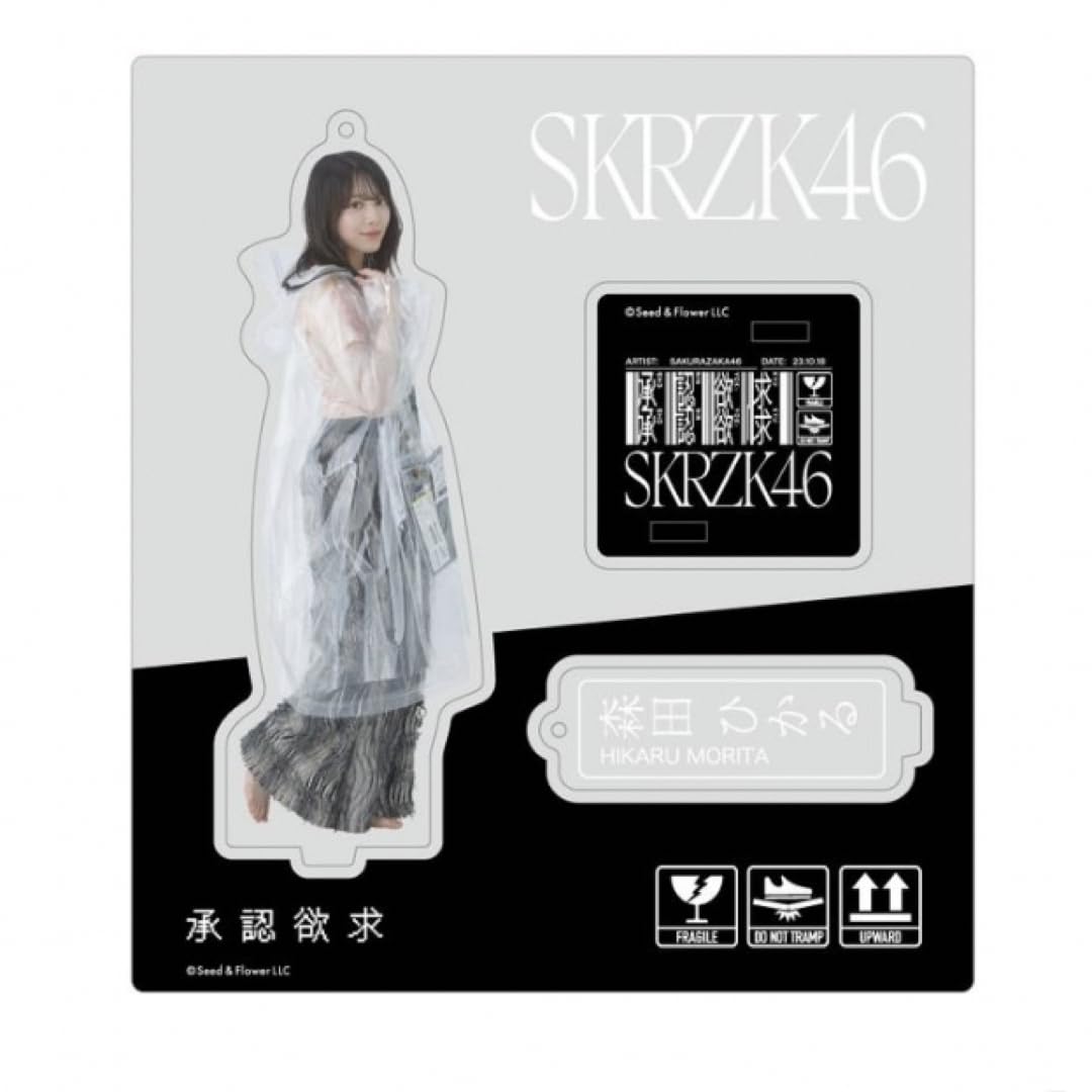 Amazon.co.jp: Hikaru Morita Acsta Acrylic Stand : Toys & Games