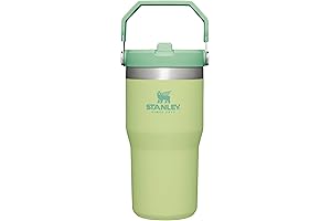 STANLEY IceFlow Tumbler: Kids' Hydration Essential