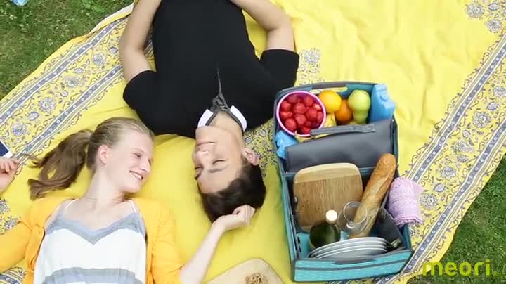 Meori Azur Folding Box Large Blue + Carry Handle 32 X 50 X 27 - View #5