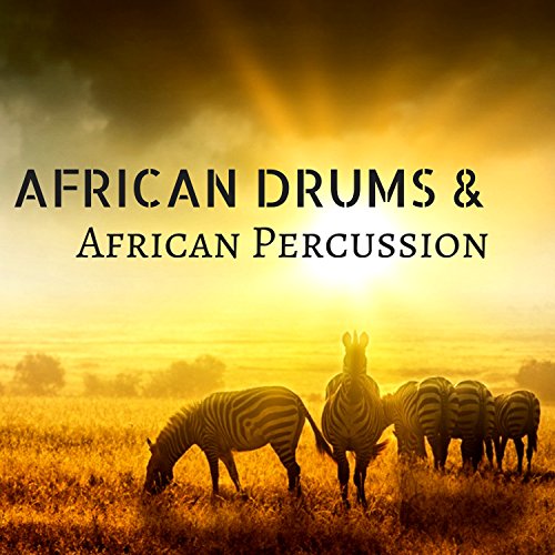 Best African Drums For Drumming Circles Expert Review The Modern