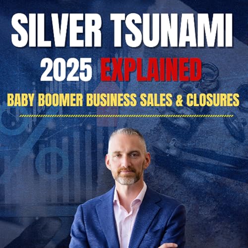 Silver Tsunami- SmallBiz Opportunity or Hype (1)