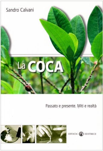 La coca. Passato e presente. Mito e realtà