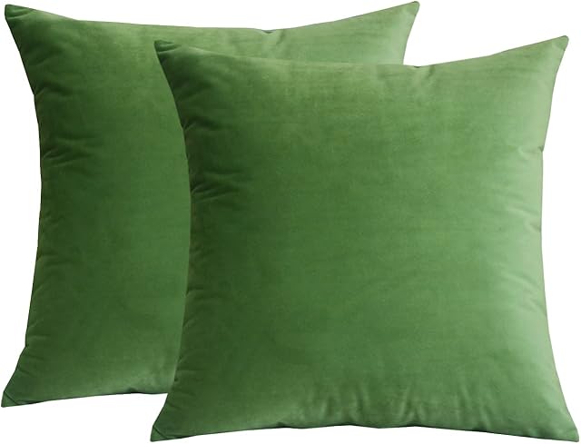 Lutanky Velvet Cushion covers (Pack of 2) Soft Throw Pillow Cases Decorative Square Cushion Cover for Sofa Home Decor 18" X 18" 45 x 45 cm(olive-green, 2 pieces)