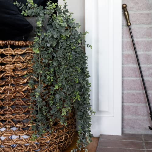 Season’s Need 2Pcs Eucalyptus Fake Hanging Plant Unpotted, Artificial Plants For Home Décor Indoor Outdoor, Vines Faux Greenery Bedroom Bathroom Kitchen Office Décor – 30” Long Frosted Green #TOP3