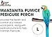 Sweet Feet and Beak Superoost Manzanita Pumice Pedicure Perch- Easy to Install Bird Cage Accessories for Healthy Feet, Nails and Beak - Natural Bird Perches Imitates Birds' Life in The Wild - L 12